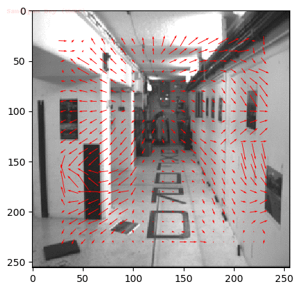 This optic flow is likely to cause vection
